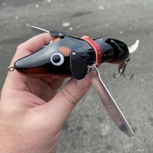Fish Arrow Wing Dachs
